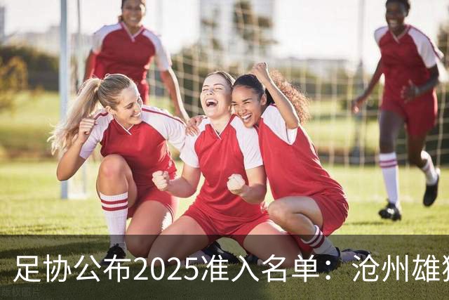 足协公布2025准入名单：沧州雄狮、广州队无缘